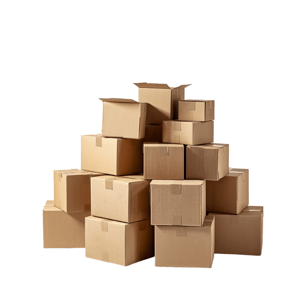 Sheet Processing / Conversion Machines